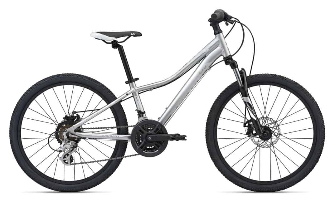 MY20Enchant24Disc ColorA